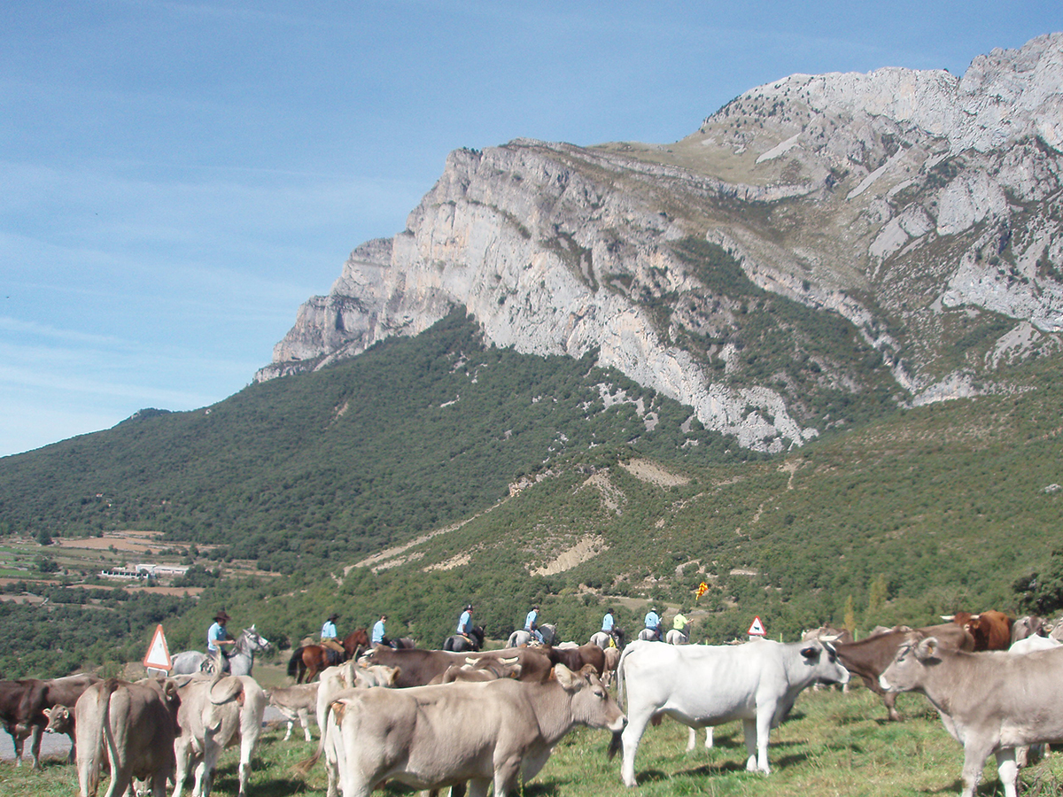 Routes on horseback through the skirt of the Peña Montañesa