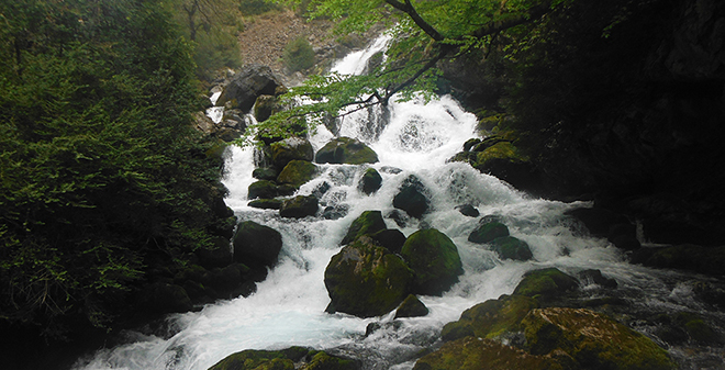 Fuente y Chorro de Fornos - Lafortunada y Badan - Apartamentos Casa Borja